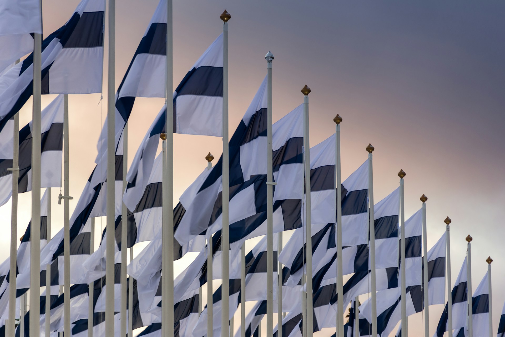 Finnish flags on poles