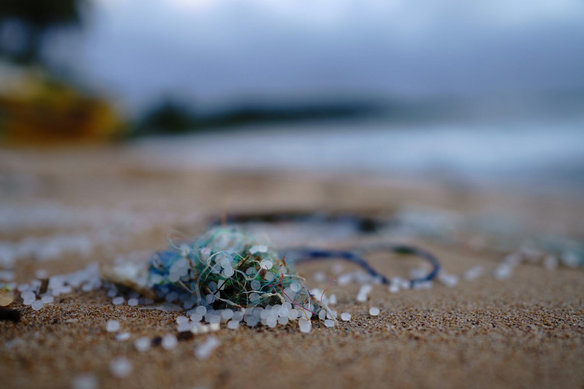 Microplastics and fibers on a beach