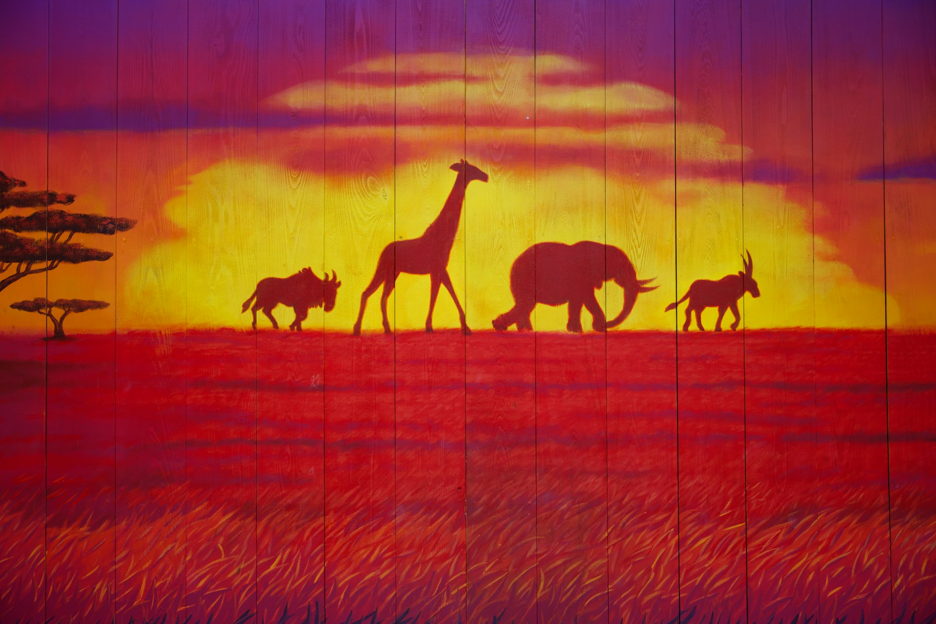 An African Savana mural a la The Lion King