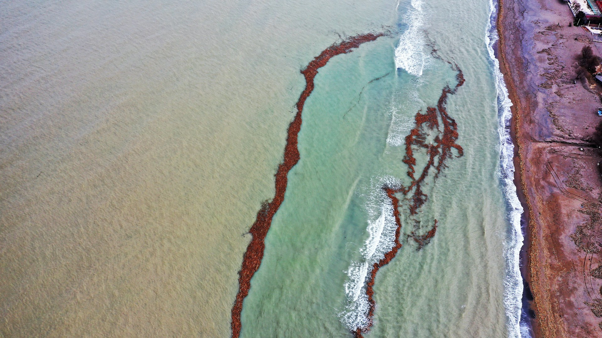 an oil spill along a coastline