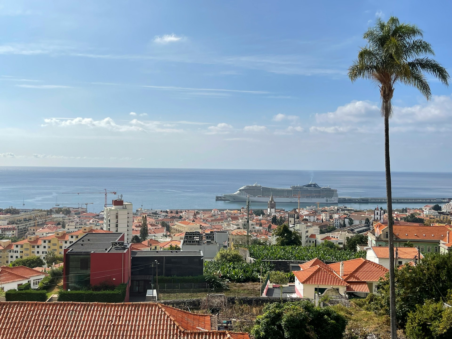 A cruise ship off the coast of Funchal