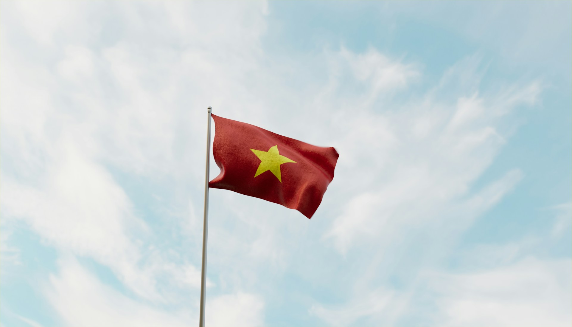 The Vietnamese flag