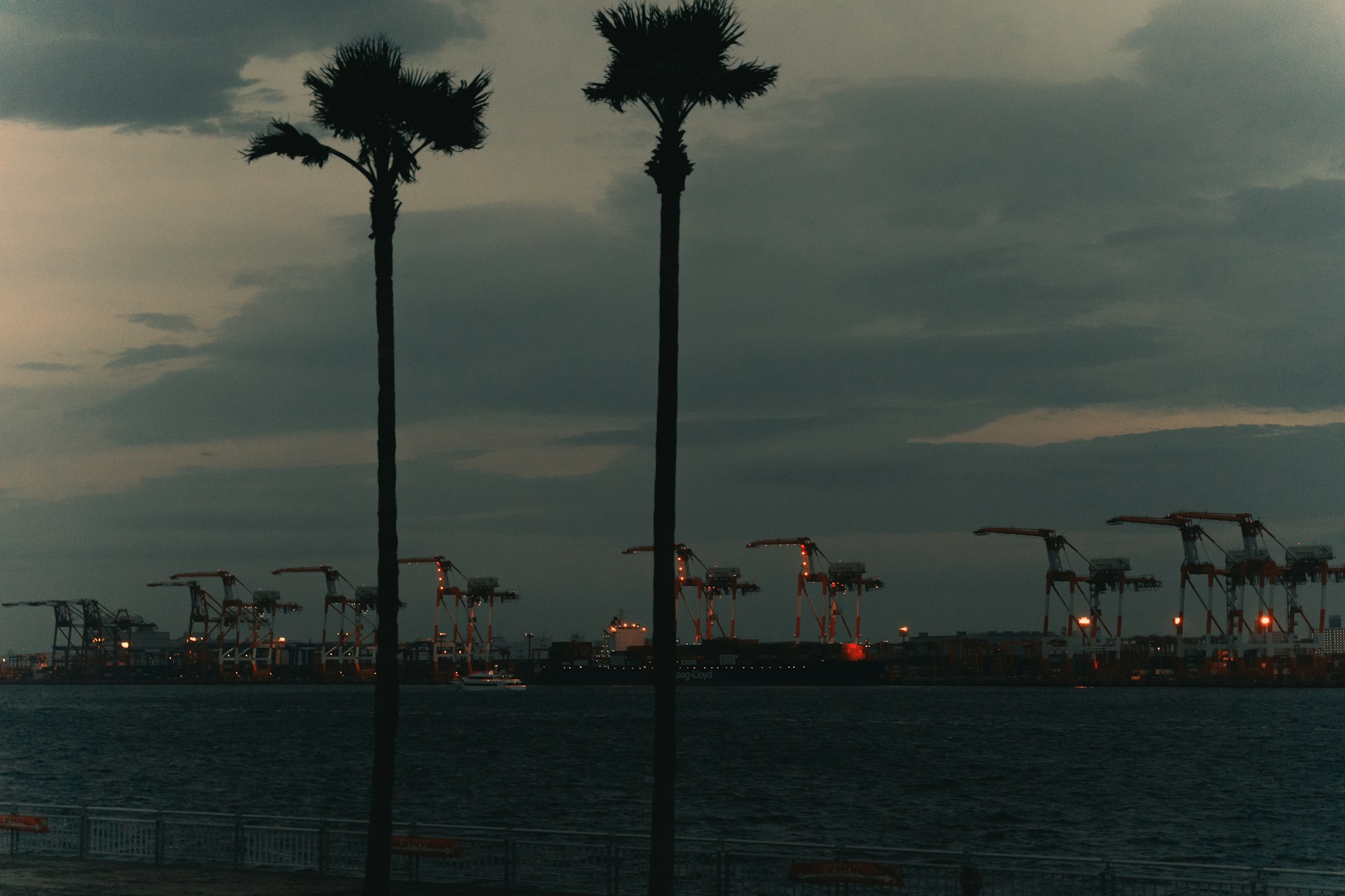 Cranes in a port and palm trees