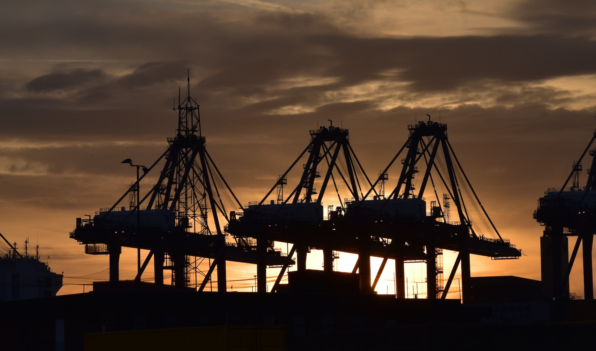 Cranes in a port at sunset