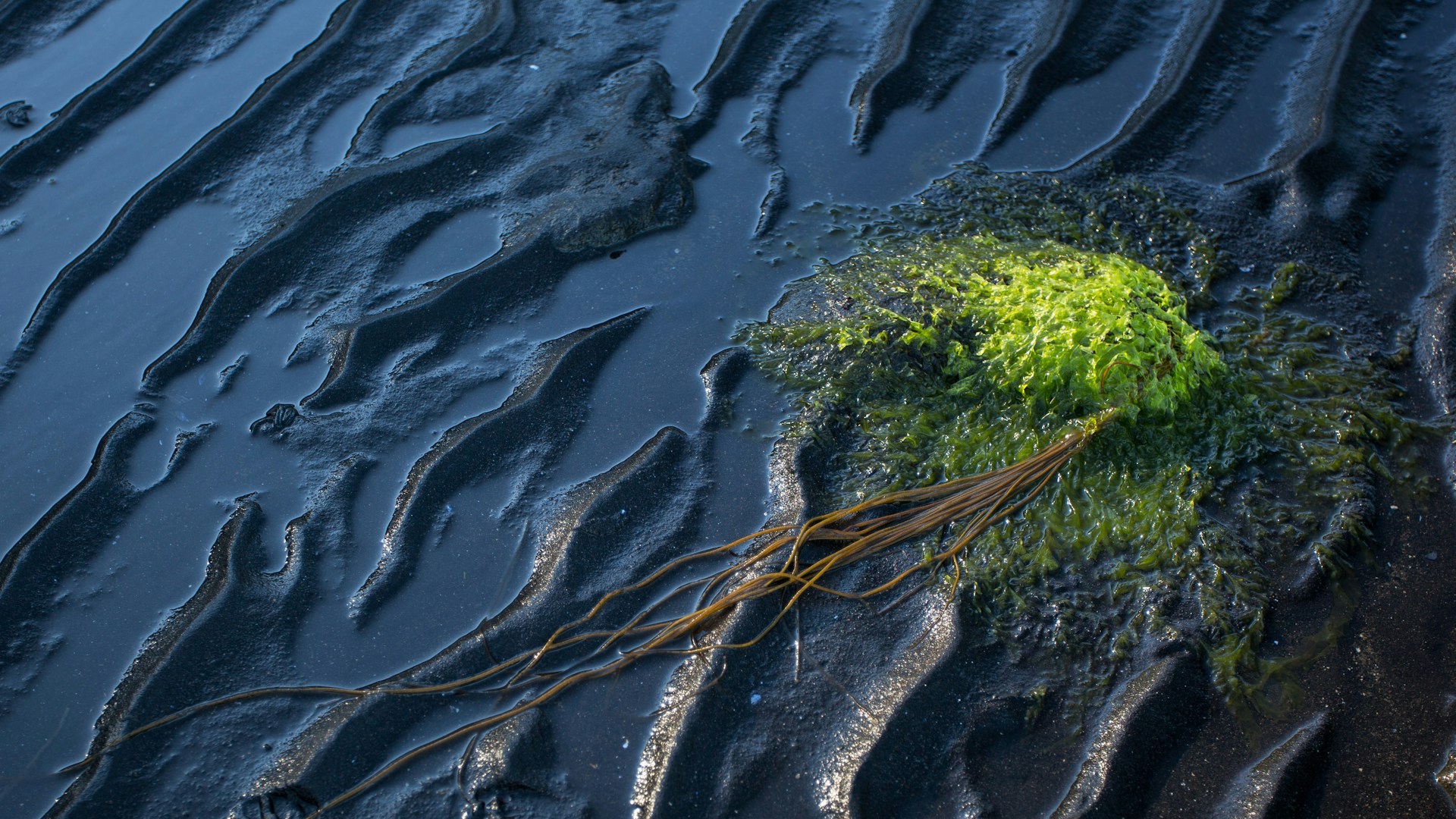 An oil spill in water