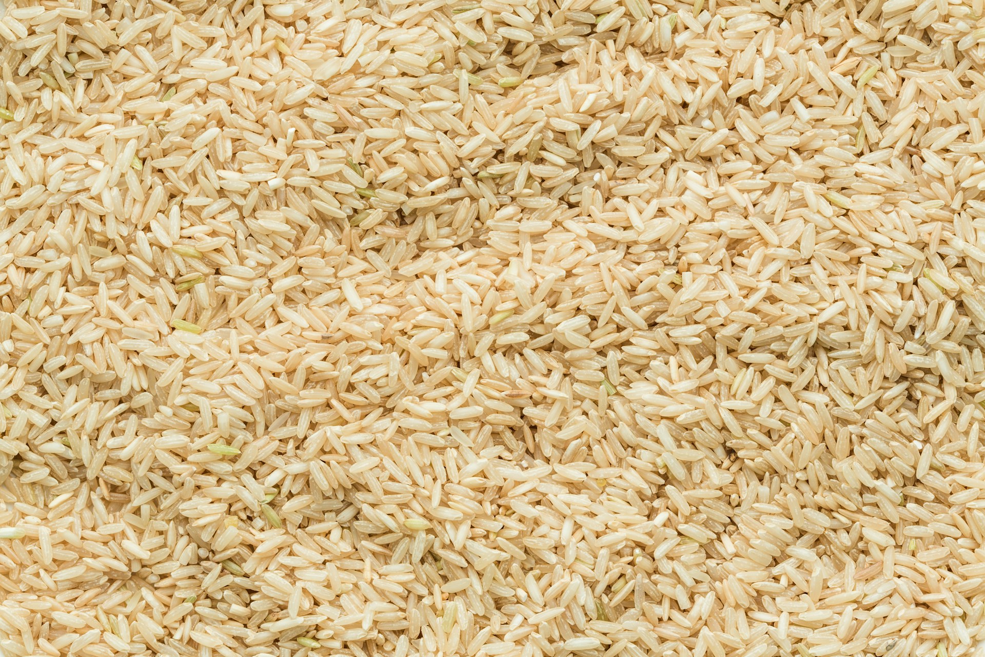 close up of grain