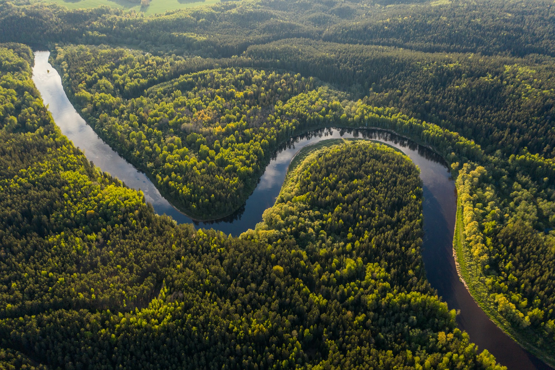 aerial view of the Amazon River