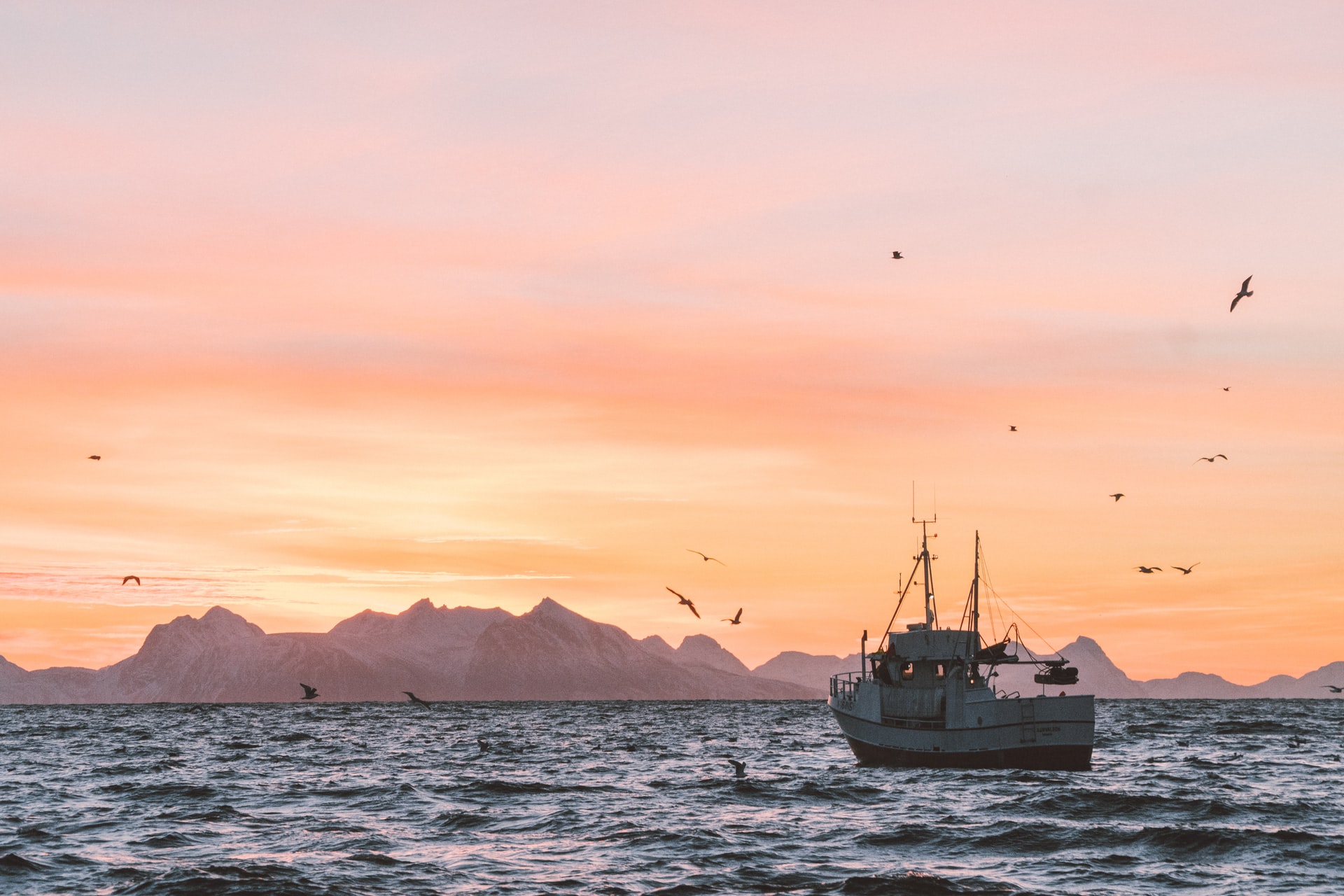 Fishing boat at sunset