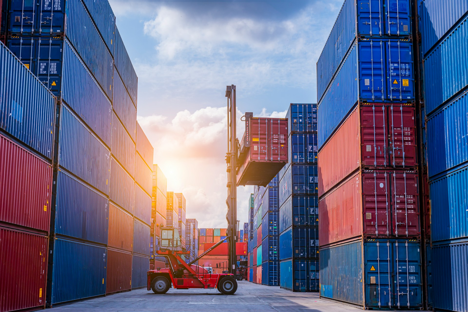 Red and blue shipping containers in a terminal