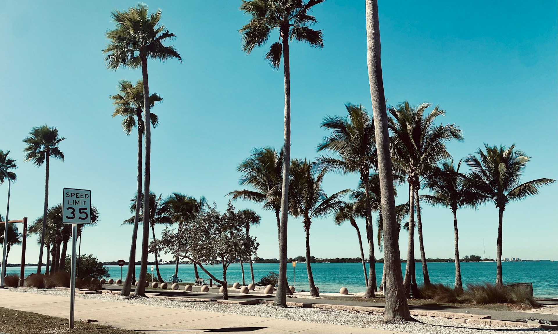 Tampa coastline