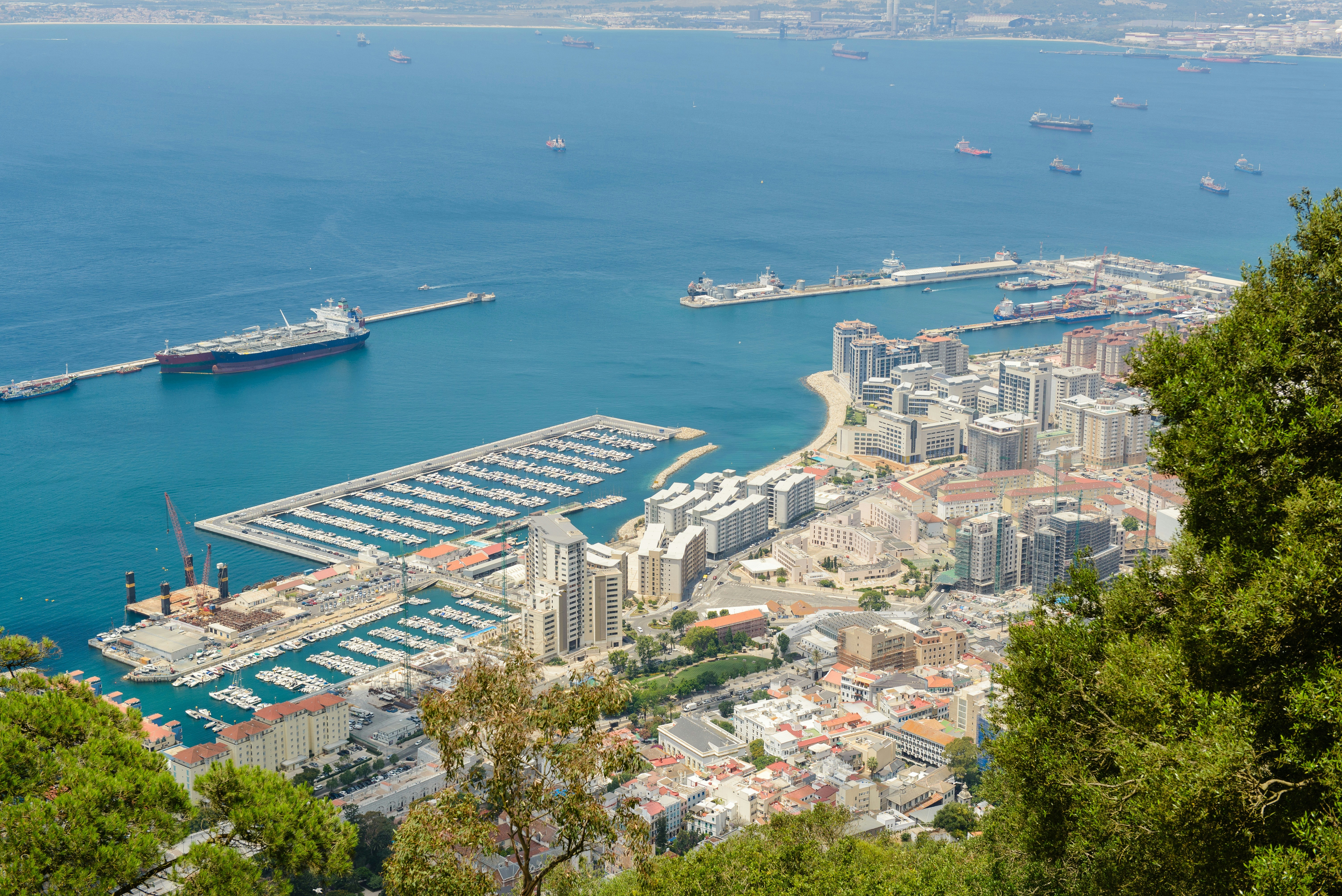 The port of Gibraltar