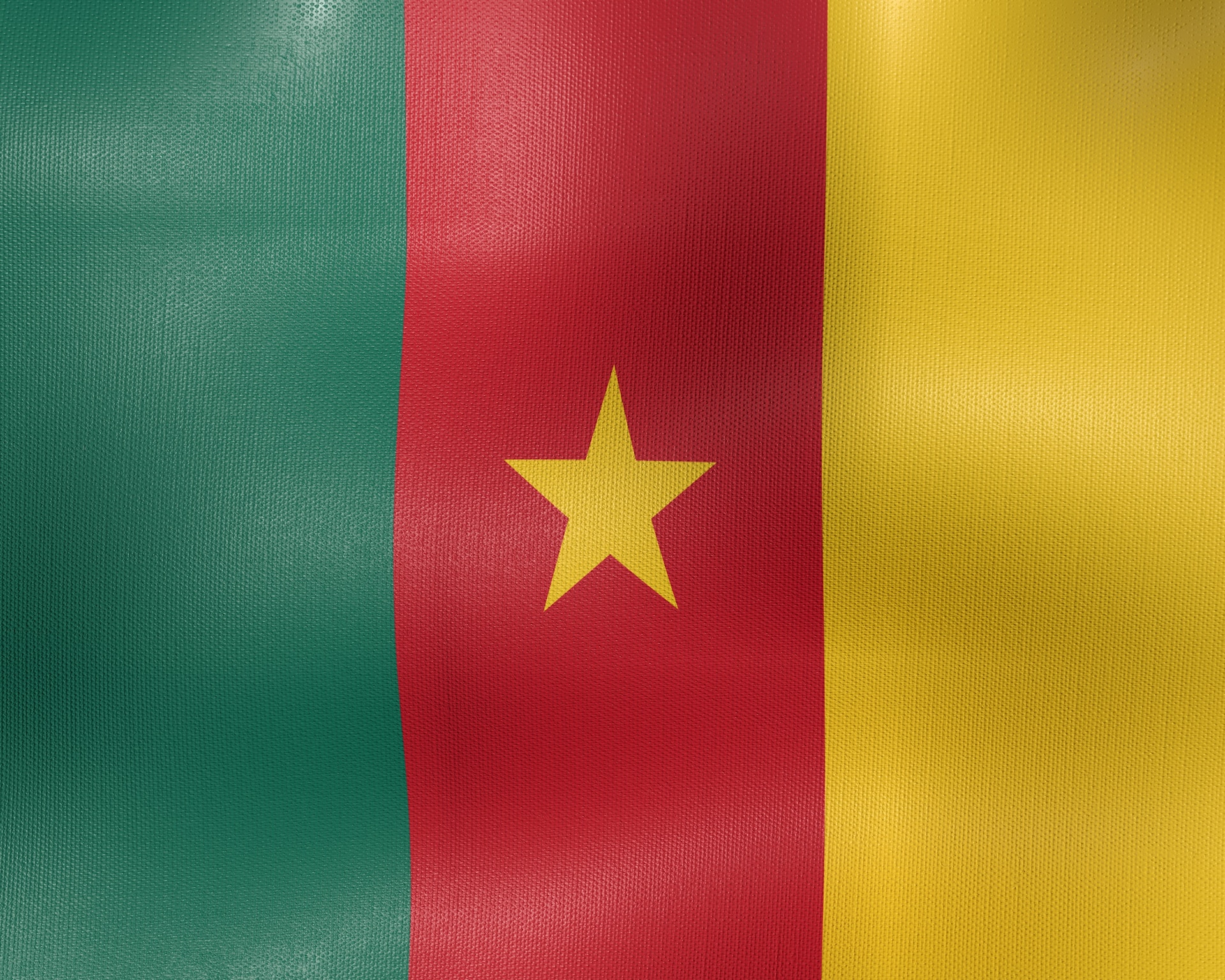 Close up of the Cameroonian flag