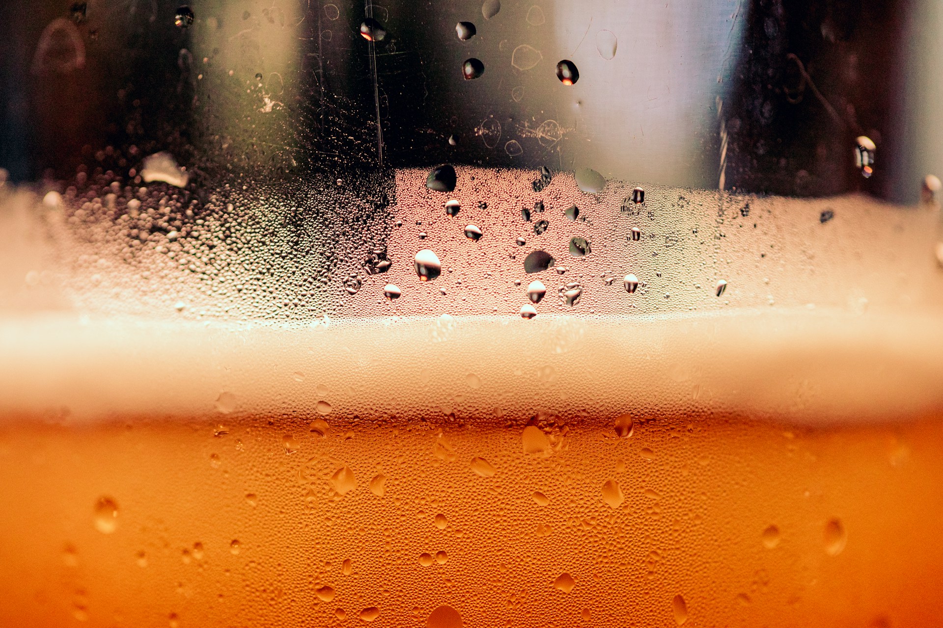 Close up of the head on a glass of ale