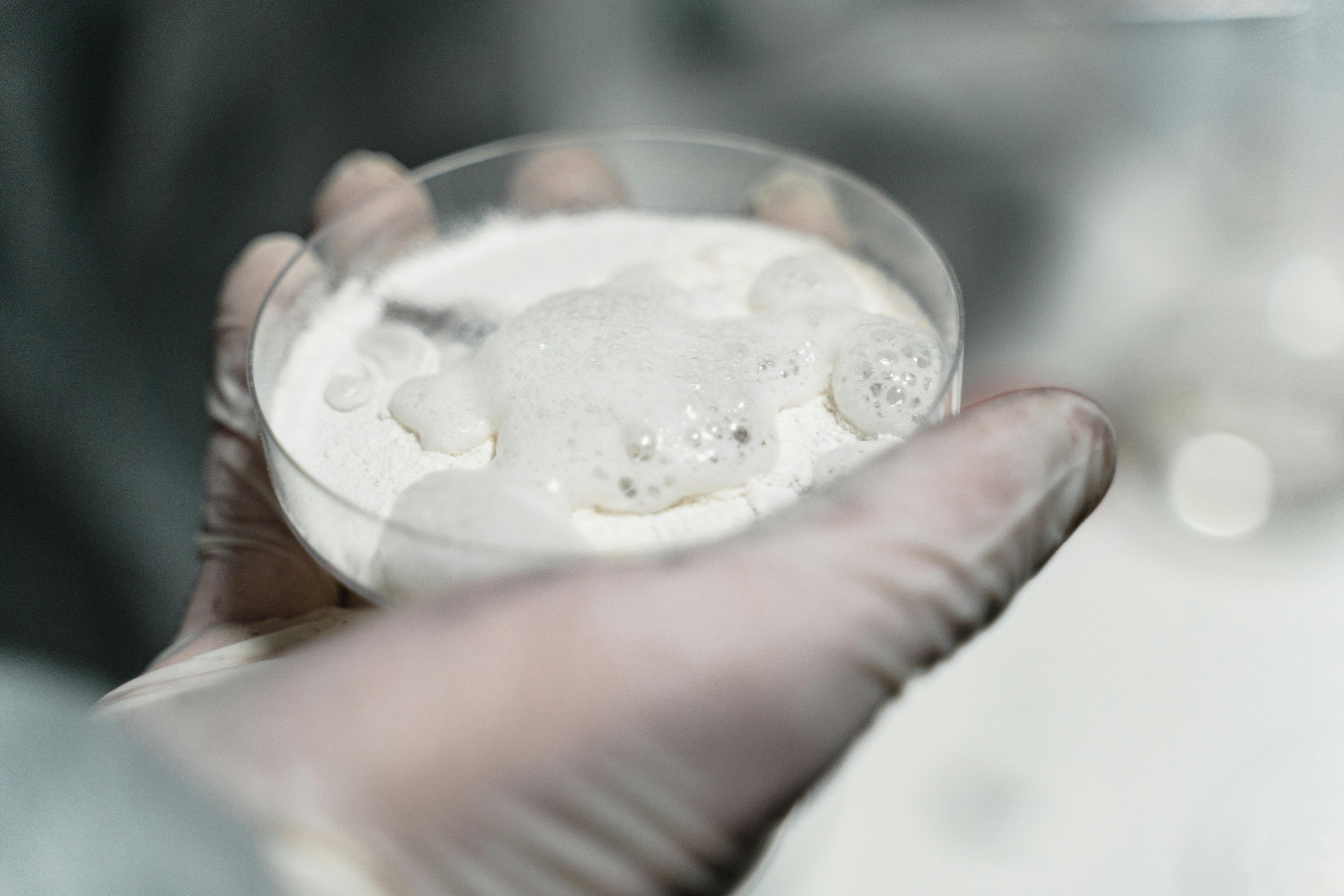 Hand holding petri dish with white powder in it