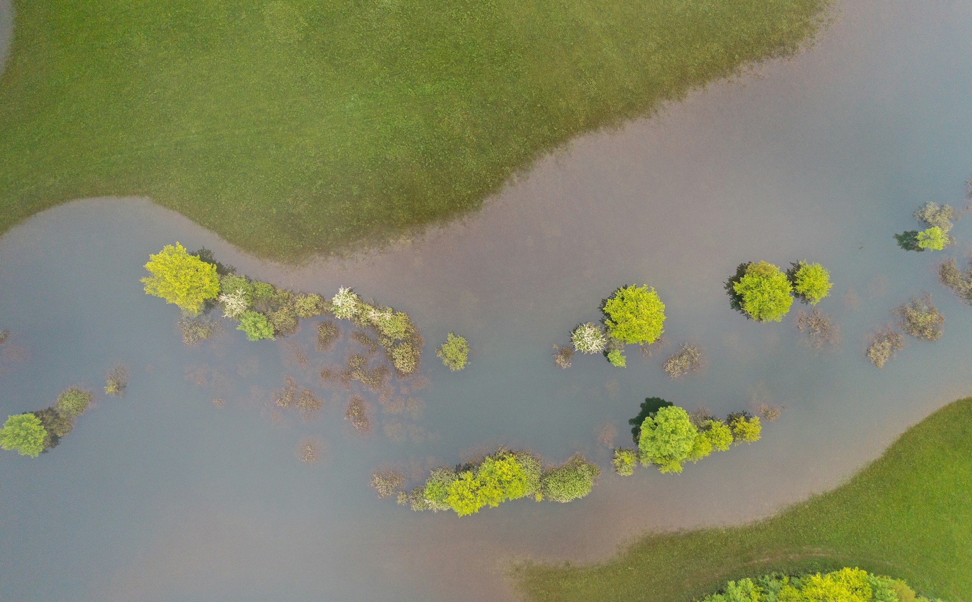 An aerial view of flooding and submerged trees