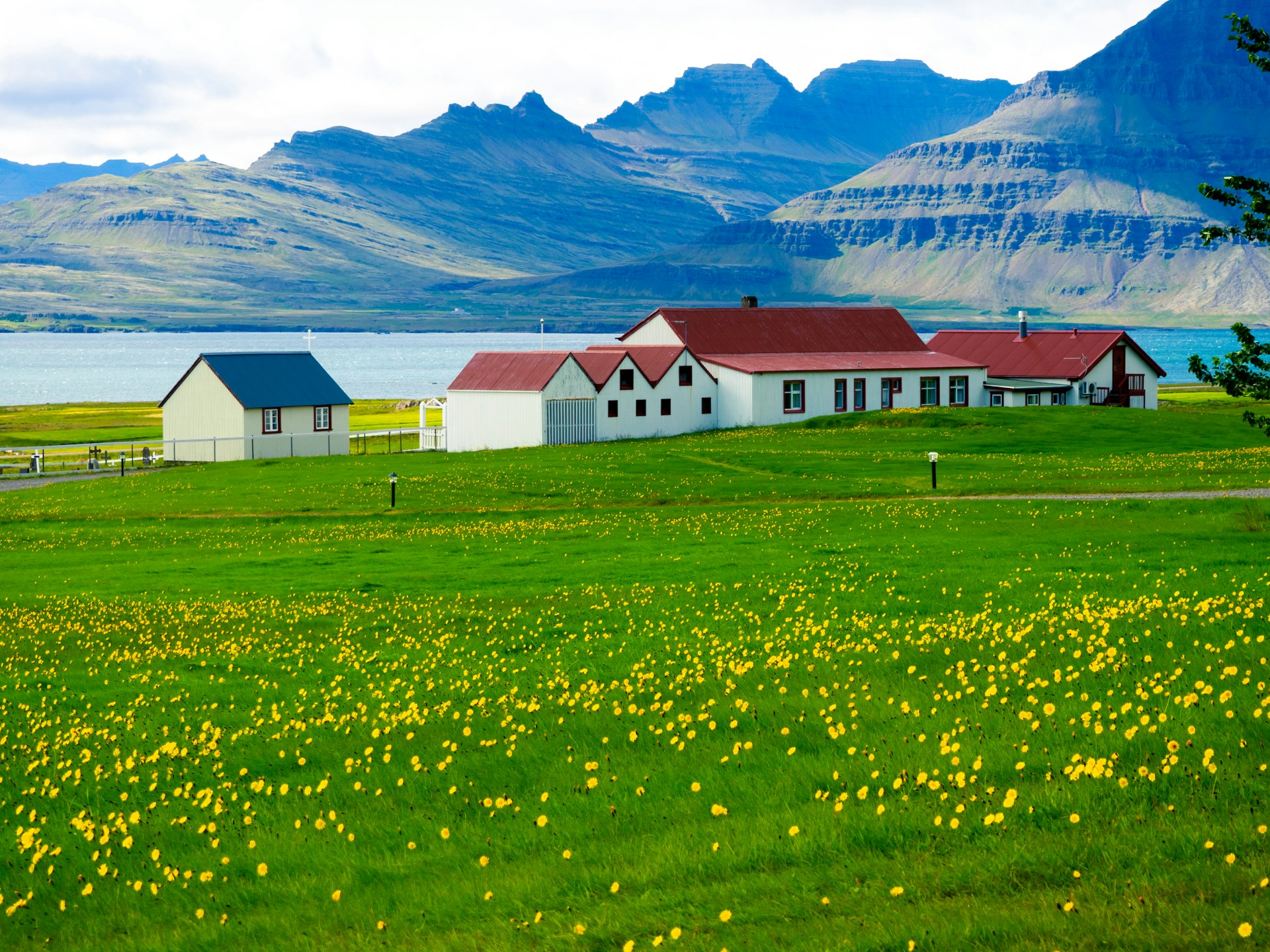 A cluster of buildings in Iceland overlooking the sea